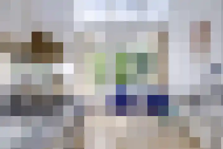 Stadhouderslaan 102 Utrecht thumbnail 30