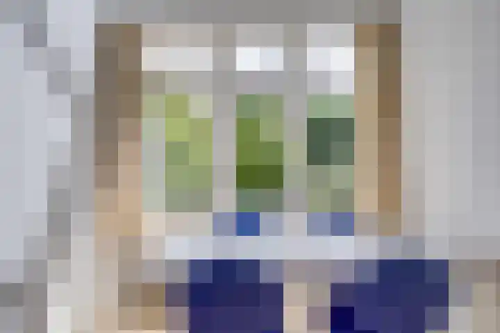 Stadhouderslaan 102 Utrecht thumbnail 31