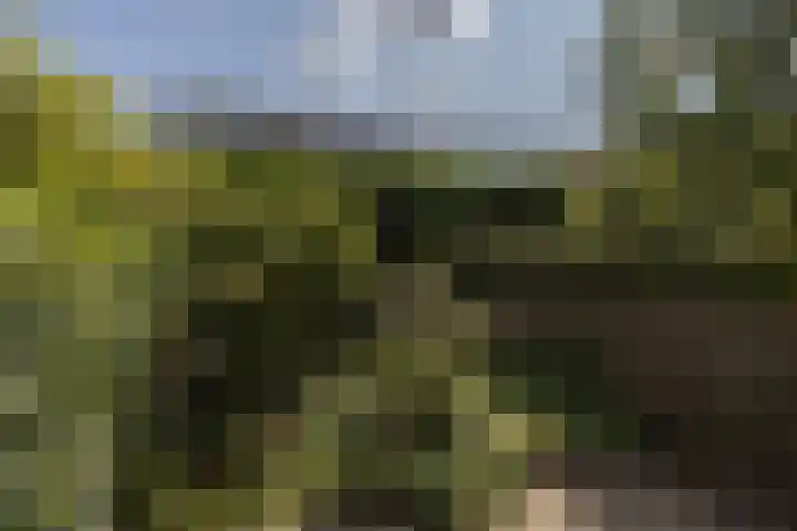 Stadhouderslaan 102 Utrecht thumbnail 34