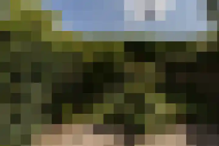 Stadhouderslaan 102 Utrecht thumbnail 35