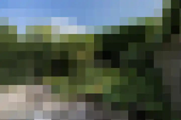 Stadhouderslaan 102 Utrecht thumbnail 37