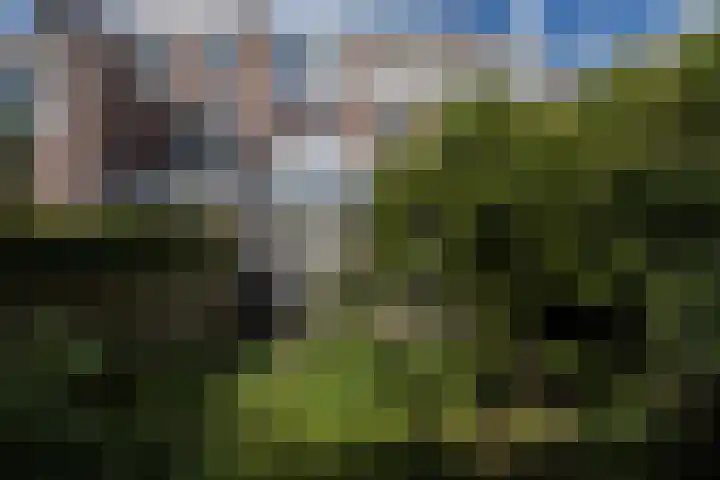 Stadhouderslaan 102 Utrecht thumbnail 38