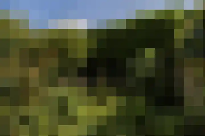 Stadhouderslaan 102 Utrecht thumbnail 39
