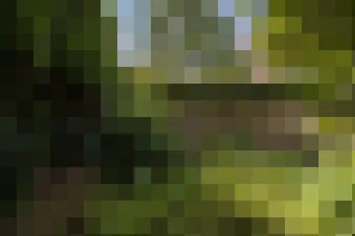 Stadhouderslaan 102 Utrecht thumbnail 40
