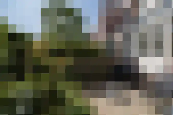 Stadhouderslaan 102 Utrecht thumbnail 41