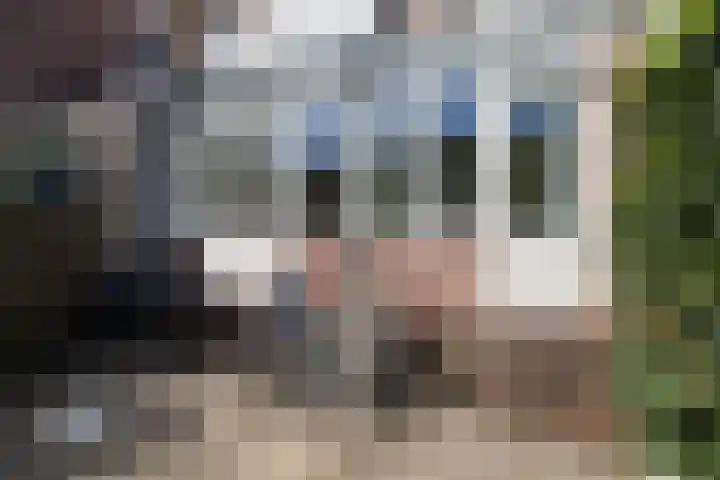 Stadhouderslaan 102 Utrecht thumbnail 42