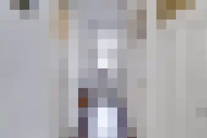 Stadhouderslaan 102 Utrecht thumbnail 43