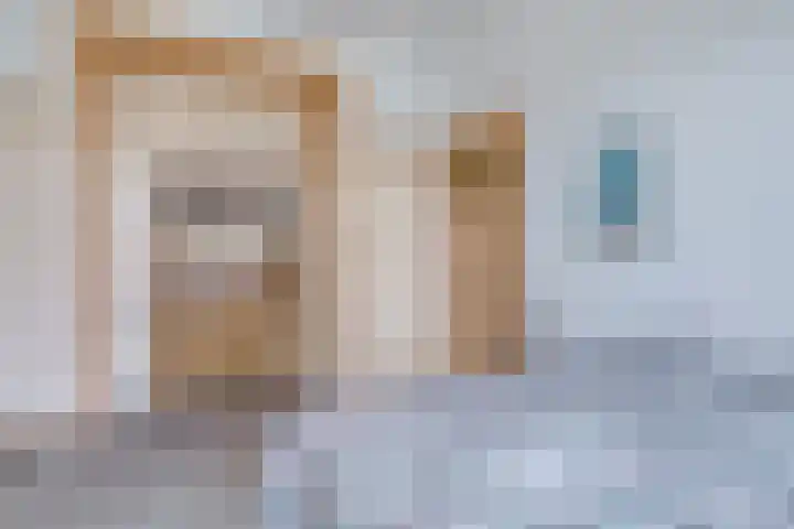 Stadhouderslaan 102 Utrecht thumbnail 46