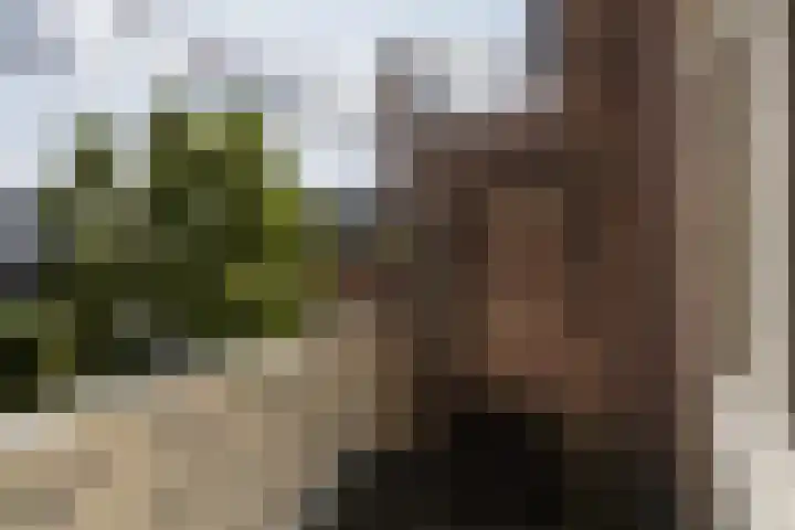 Stadhouderslaan 102 Utrecht thumbnail 48