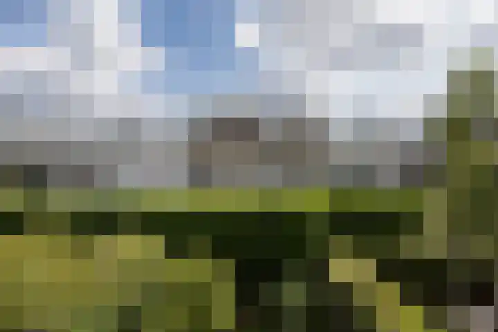 Stadhouderslaan 102 Utrecht thumbnail 50