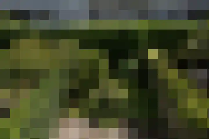 Stadhouderslaan 102 Utrecht thumbnail 51