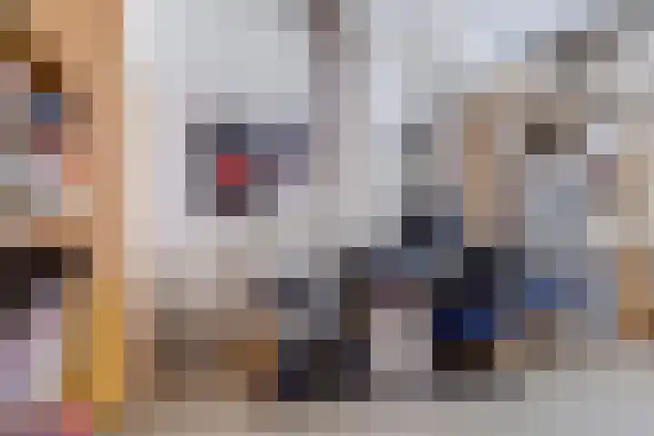 Stadhouderslaan 102 Utrecht thumbnail 52