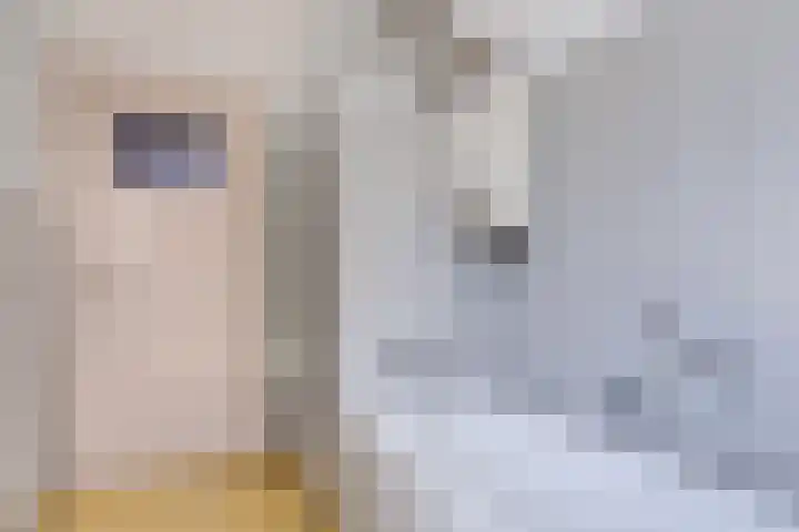 Stadhouderslaan 102 Utrecht thumbnail 59