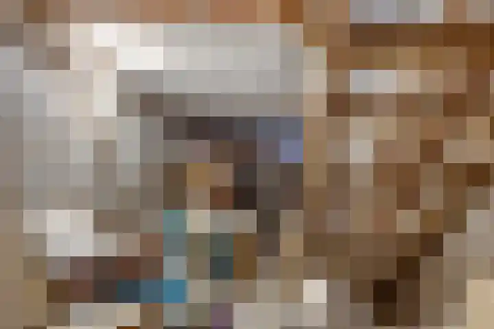 Stadhouderslaan 102 Utrecht thumbnail 72