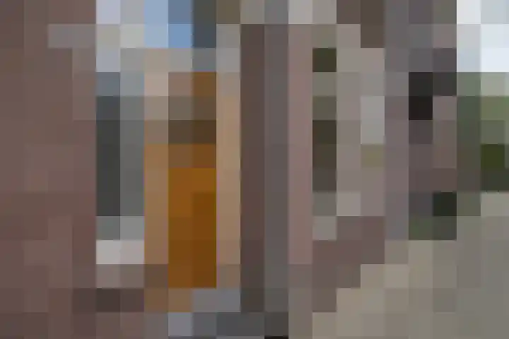 Stadhouderslaan 102 Utrecht thumbnail 74