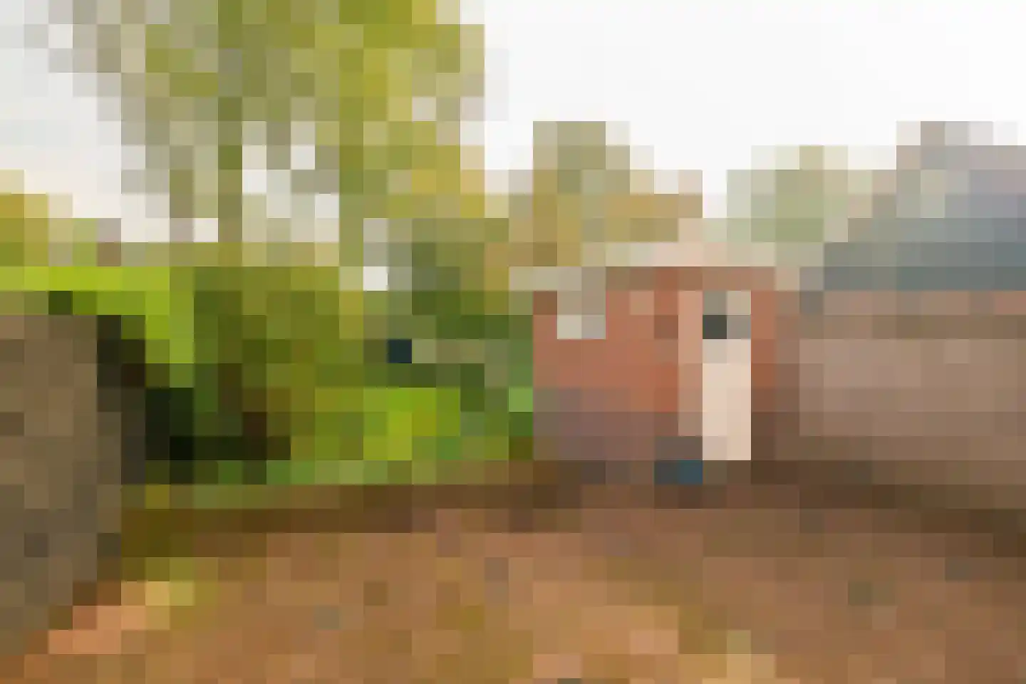 Stadhouderslaan 104 Soest thumbnail 18