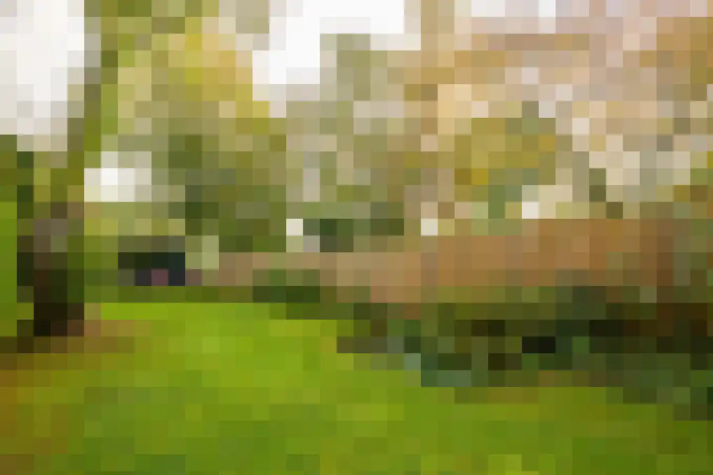 Stadhouderslaan 104 Soest thumbnail 21
