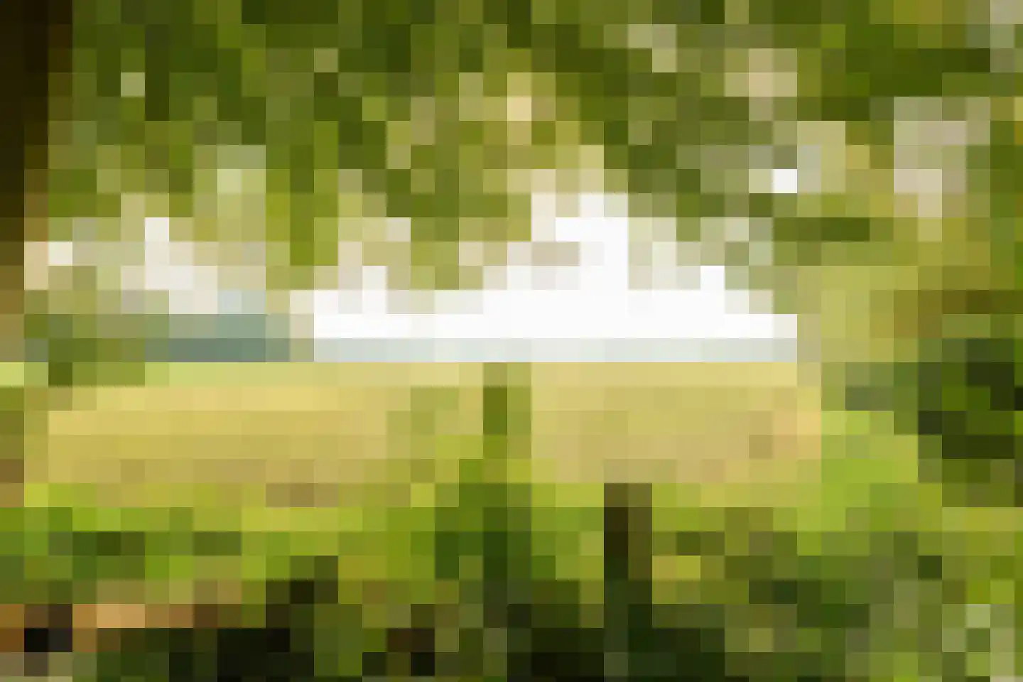 Stadhouderslaan 104 Soest thumbnail 22