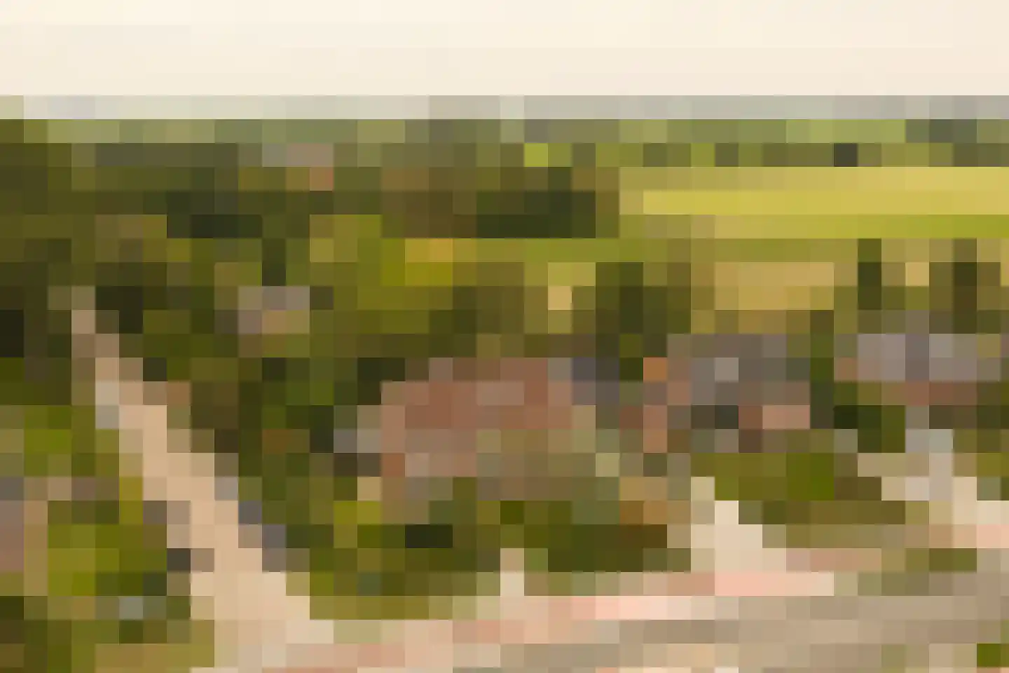 Stadhouderslaan 104 Soest thumbnail 4