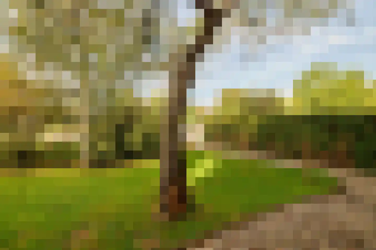 Stadhouderslaan 104 Soest thumbnail 54