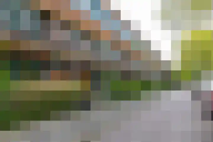 Stadhouderslaan 11 a Groningen thumbnail 10