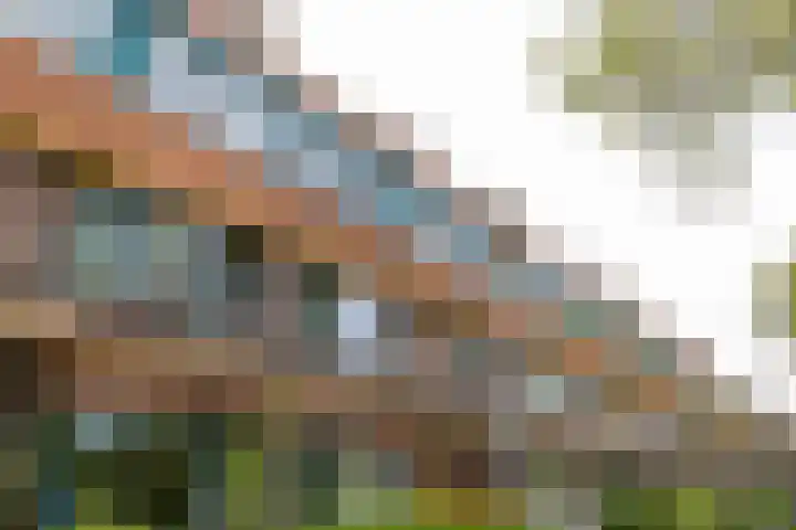 Stadhouderslaan 11 a Groningen thumbnail 11