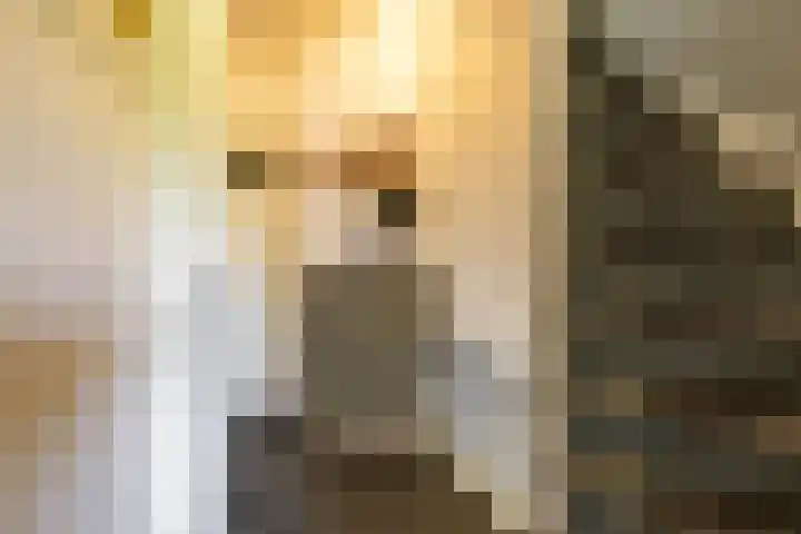 Stadhouderslaan 11 a Groningen thumbnail 13