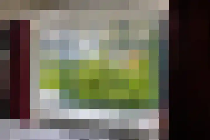 Stadhouderslaan 11 a Groningen thumbnail 20