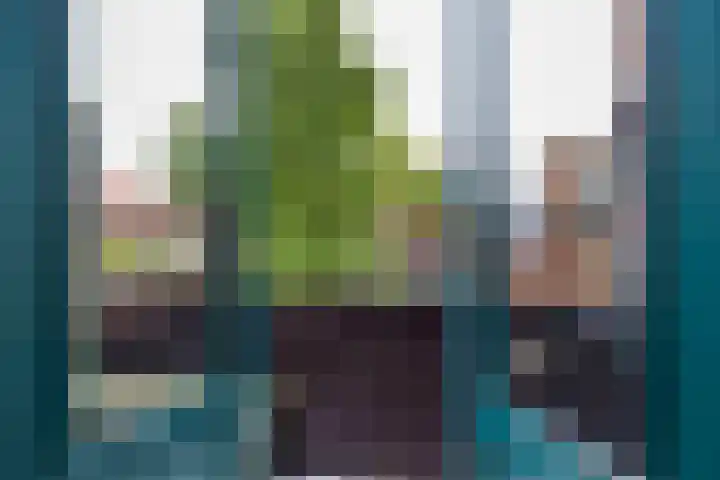 Stadhouderslaan 11 a Groningen thumbnail 23