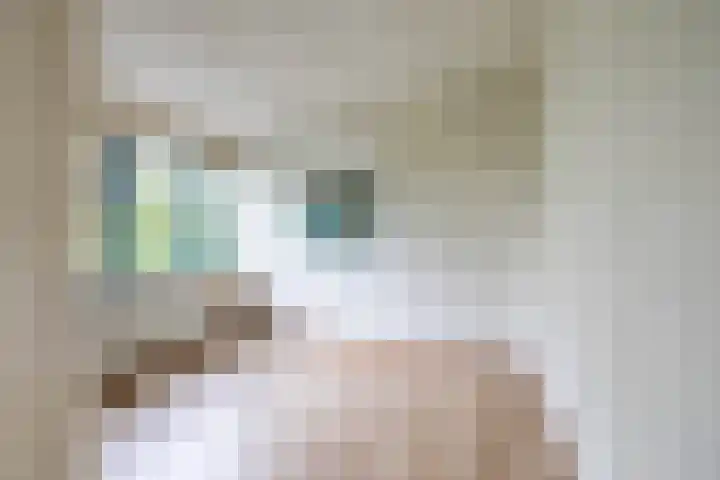 Stadhouderslaan 11 a Groningen thumbnail 31