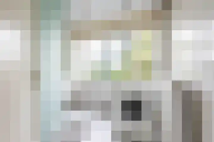 Stadhouderslaan 11 a Groningen thumbnail 34