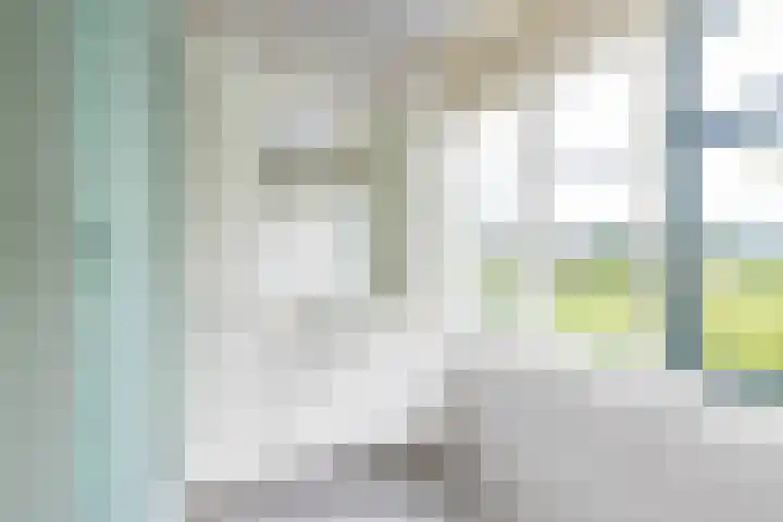 Stadhouderslaan 11 a Groningen thumbnail 35