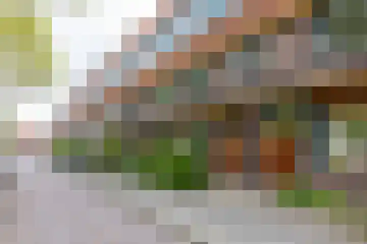 Stadhouderslaan 11 a Groningen thumbnail 7
