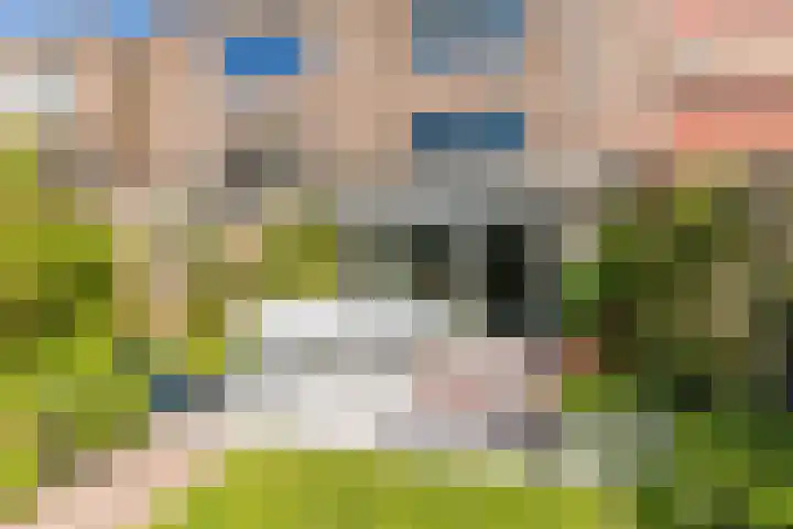 Stadhouderslaan 11 A Schiedam thumbnail 22