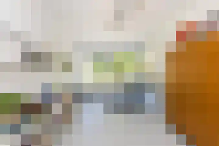 Stadhouderslaan 11 A Schiedam thumbnail 31