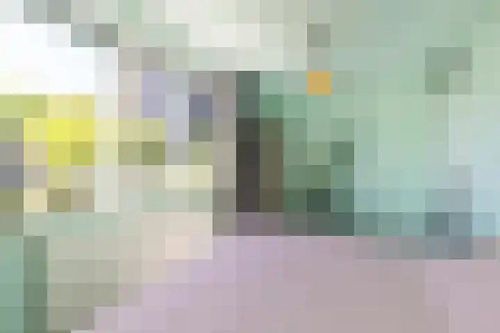 Stadhouderslaan 11 A Schiedam thumbnail 34