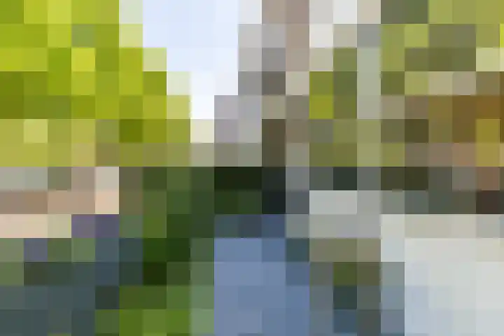 Stadhouderslaan 11 A Schiedam thumbnail 7