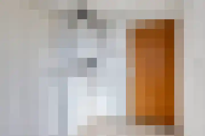 Stadhouderslaan 11 Goes thumbnail 15