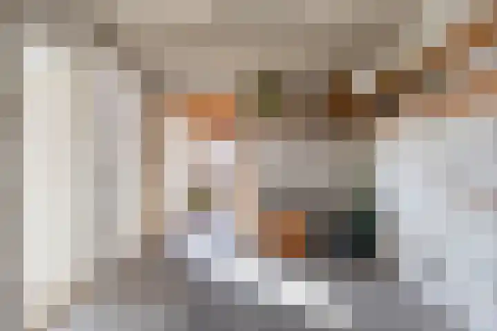 Stadhouderslaan 11 Goes thumbnail 16