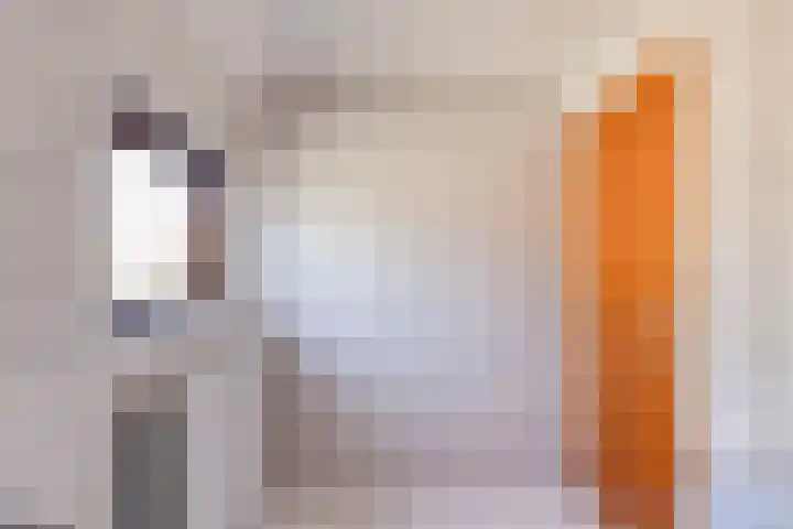 Stadhouderslaan 11 Goes thumbnail 22