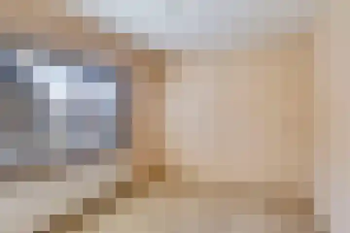 Stadhouderslaan 11 Goes thumbnail 25