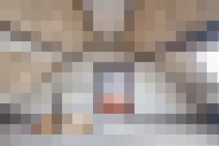 Stadhouderslaan 11 Goes thumbnail 27