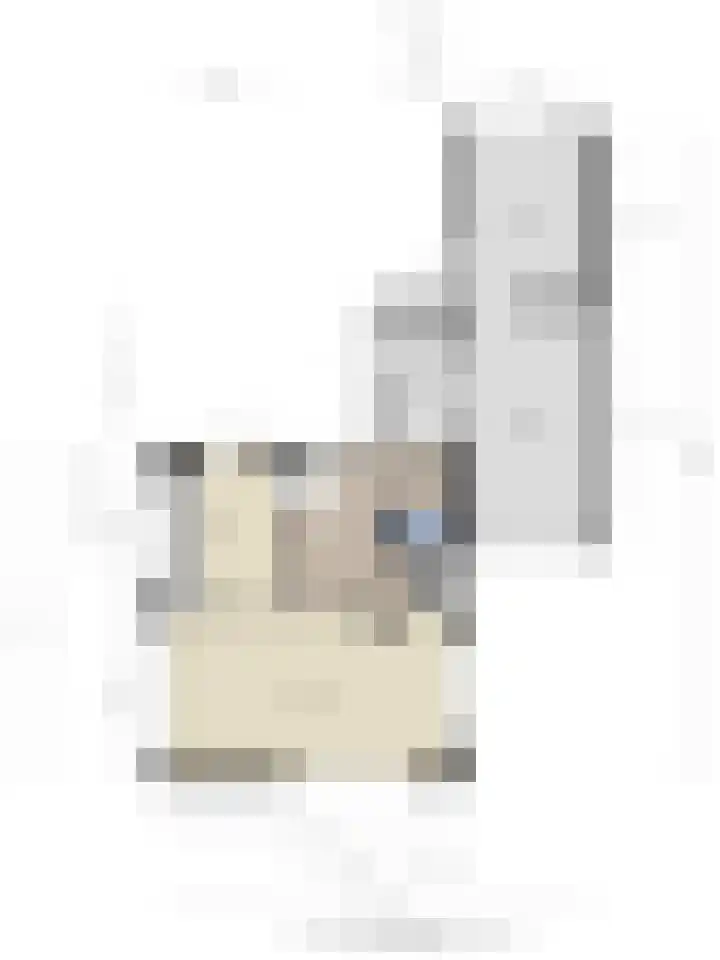 Stadhouderslaan 11 Goes thumbnail 36
