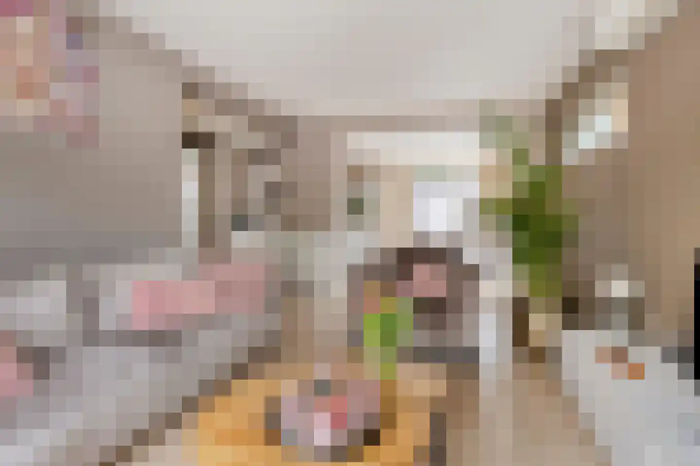 Stadhouderslaan 114 Assen thumbnail 13