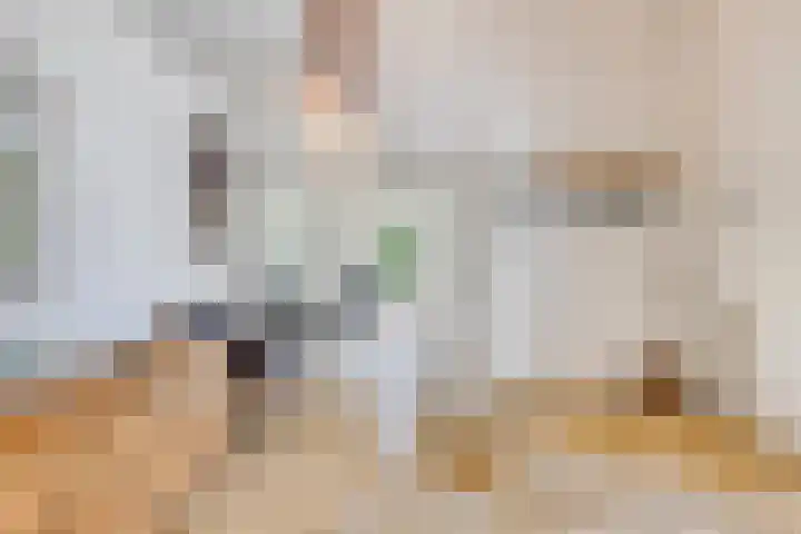Stadhouderslaan 12 Goes thumbnail 10