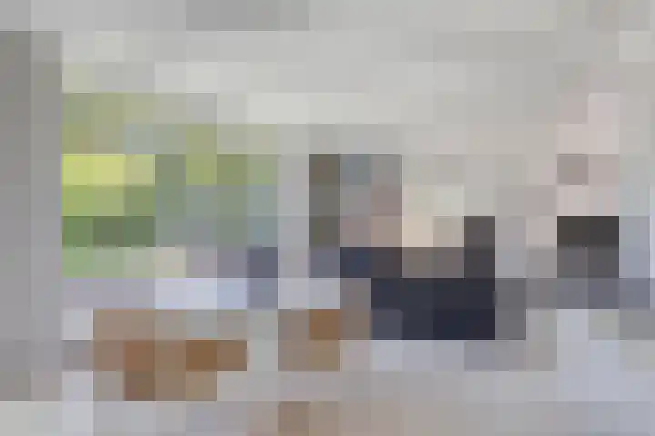 Stadhouderslaan 12 Goes thumbnail 15