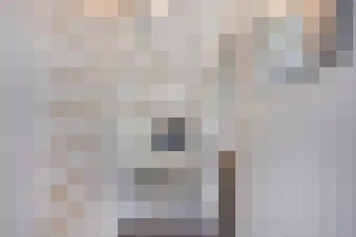 Stadhouderslaan 12 Goes thumbnail 17