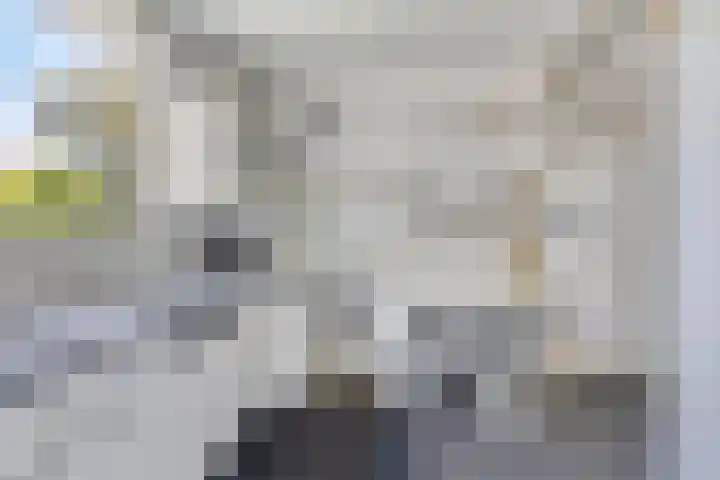 Stadhouderslaan 12 Goes thumbnail 19