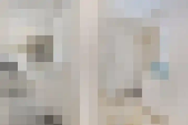 Stadhouderslaan 12 Goes thumbnail 21