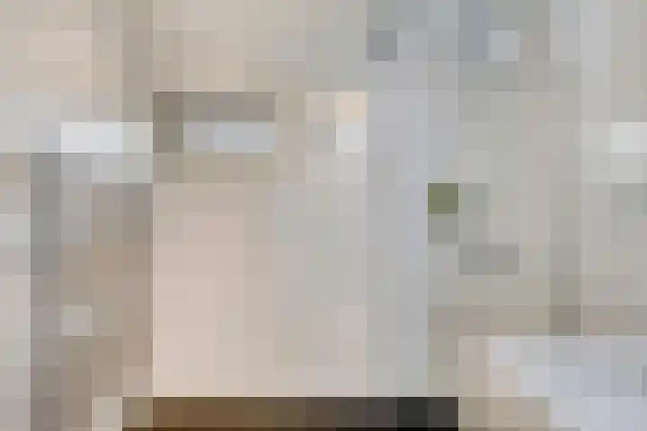 Stadhouderslaan 12 Goes thumbnail 24